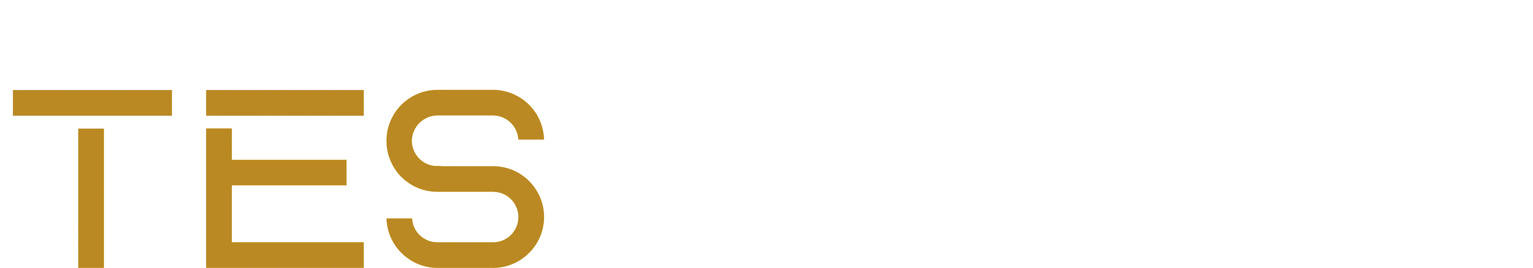 teslabor logo